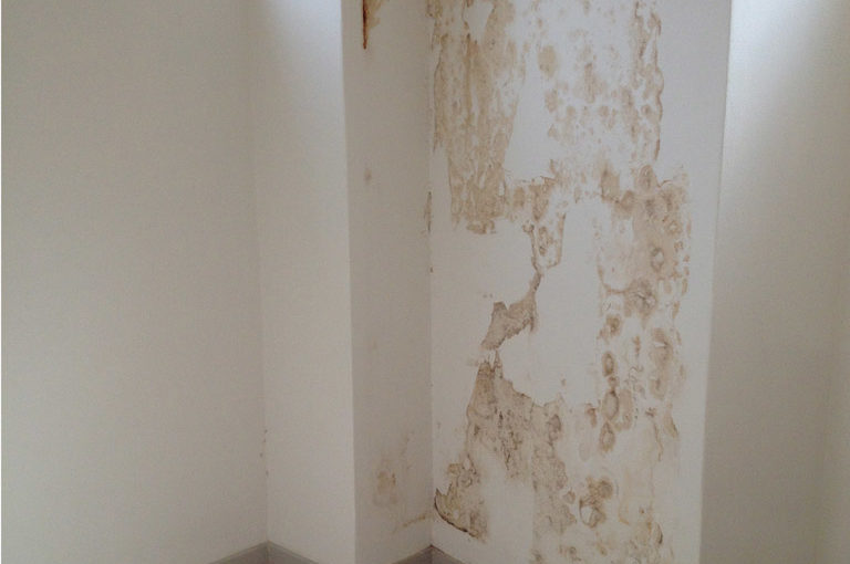 Interior walls coated with regular paint resulted in stains